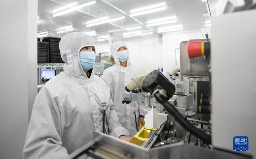 强信心 开新局 一家光通信企业的“出海秘籍”——以靠谱服务、技术推销与标准开路构建全球网络技术服务新格局