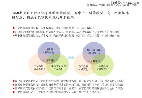 CRSM模型与LWC咨询服务模式在网络技术服务中的创新应用